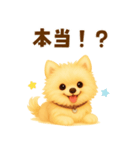ポメラニアン好きのためのかわいい日常（個別スタンプ：8）