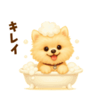 ポメラニアン好きのためのかわいい日常（個別スタンプ：21）