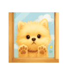 ポメラニアン好きのためのかわいい日常（個別スタンプ：36）
