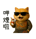 社会ニャー兄さん-やり方を教えてあげる（個別スタンプ：7）
