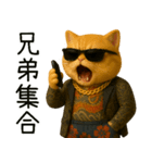 社会ニャー兄さん-やり方を教えてあげる（個別スタンプ：17）