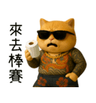 社会ニャー兄さん-やり方を教えてあげる（個別スタンプ：19）