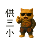 社会ニャー兄さん-やり方を教えてあげる（個別スタンプ：21）