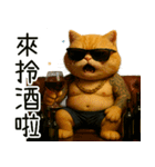 社会ニャー兄さん-やり方を教えてあげる（個別スタンプ：22）