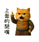 社会ニャー兄さん-やり方を教えてあげる（個別スタンプ：23）