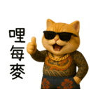 社会ニャー兄さん-やり方を教えてあげる（個別スタンプ：26）