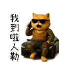 社会ニャー兄さん-やり方を教えてあげる（個別スタンプ：27）