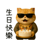 社会ニャー兄さん-やり方を教えてあげる（個別スタンプ：29）