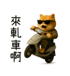 社会ニャー兄さん-やり方を教えてあげる（個別スタンプ：31）
