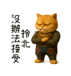 社会ニャー兄さん-やり方を教えてあげる（個別スタンプ：35）