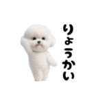 踊る！ビションフリーゼ（個別スタンプ：9）