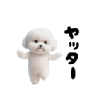 踊る！ビションフリーゼ（個別スタンプ：13）
