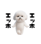 踊る！ビションフリーゼ（個別スタンプ：18）