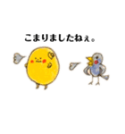 コナツ2025スタンプ（個別スタンプ：3）