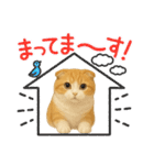 『スコティッシュフォールド』のスタンプ②（個別スタンプ：15）
