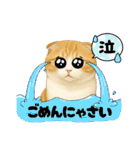 『スコティッシュフォールド』のスタンプ②（個別スタンプ：22）