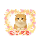『スコティッシュフォールド』のスタンプ②（個別スタンプ：37）