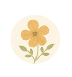 押し花風あいさつスタンプ（個別スタンプ：21）
