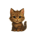 気ままな野良猫ライフ（個別スタンプ：5）