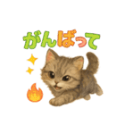 気ままな野良猫ライフ（個別スタンプ：20）