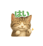 気ままな野良猫ライフ（個別スタンプ：26）