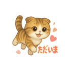 かわいいスコティッシュの日常会話（個別スタンプ：2）