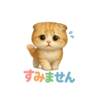 かわいいスコティッシュの日常会話（個別スタンプ：12）