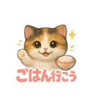 かわいいスコティッシュの日常会話（個別スタンプ：24）