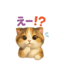 かわいいスコティッシュの日常会話（個別スタンプ：36）