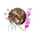 さむちゃんのにちじょうだよ（個別スタンプ：1）