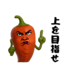 唐辛子姉さんはおブス（個別スタンプ：1）