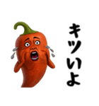 唐辛子姉さんはおブス（個別スタンプ：5）