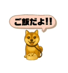 柴犬スタンプver.1（個別スタンプ：6）