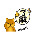 柴犬スタンプver.1（個別スタンプ：8）