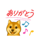 柴犬スタンプver.1（個別スタンプ：14）