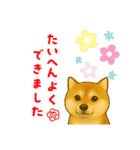 柴犬スタンプver.1（個別スタンプ：15）