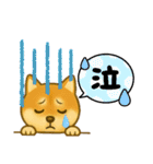 柴犬スタンプver.1（個別スタンプ：16）