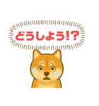 柴犬スタンプver.1（個別スタンプ：17）