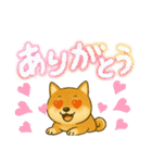 柴犬スタンプver.1（個別スタンプ：21）