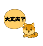 柴犬スタンプver.1（個別スタンプ：22）