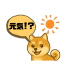 柴犬スタンプver.1（個別スタンプ：27）