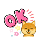柴犬スタンプver.1（個別スタンプ：28）