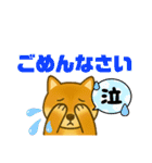 柴犬スタンプver.1（個別スタンプ：37）