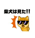 柴犬スタンプver.1（個別スタンプ：38）