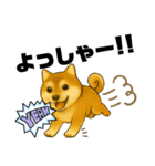 柴犬スタンプver.1（個別スタンプ：40）