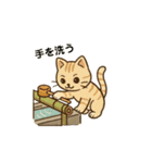 開運にゃん吉くん（個別スタンプ：30）
