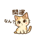 開運にゃん吉くん（個別スタンプ：37）
