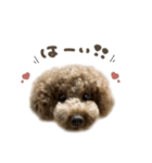 りむるくん☆mix（個別スタンプ：3）