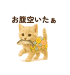 お花畑どうぶつ♡子猫（個別スタンプ：16）