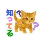 お花畑どうぶつ♡子猫（個別スタンプ：27）